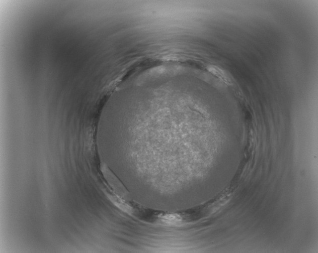 X0000066000409200603101536