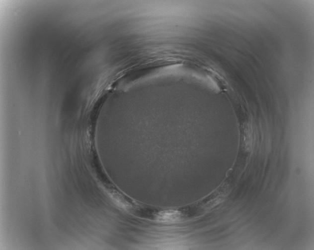 X0000066000410200603101536