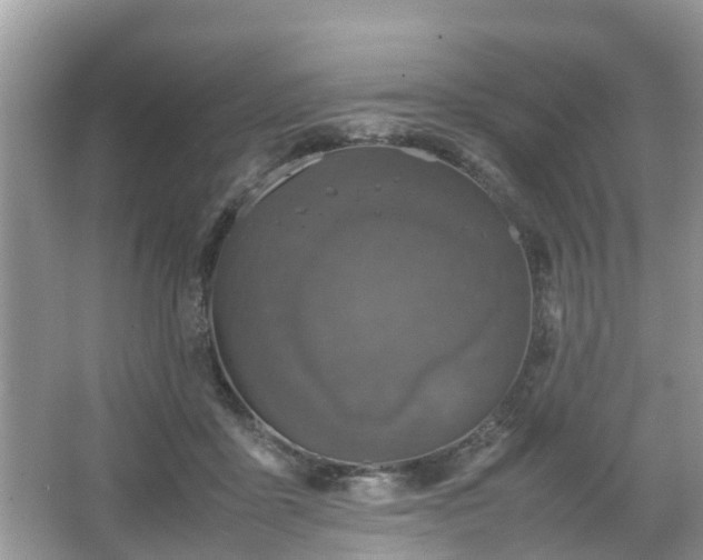 X0000066000411200603101536