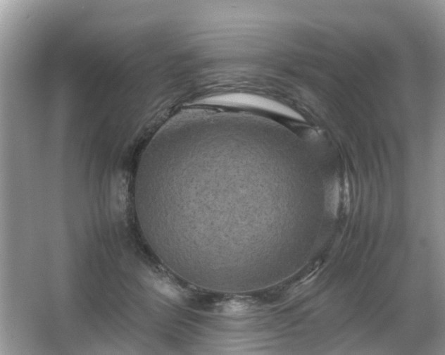 X0000066000412200603101536