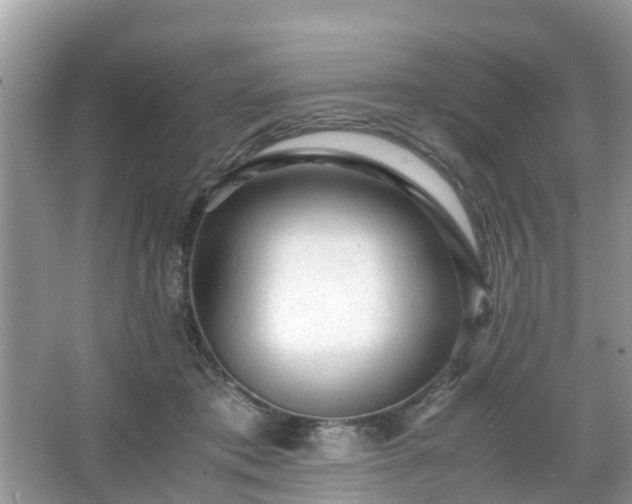 X0000066000413200603101536