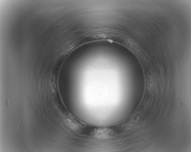 X0000066000414200603101536