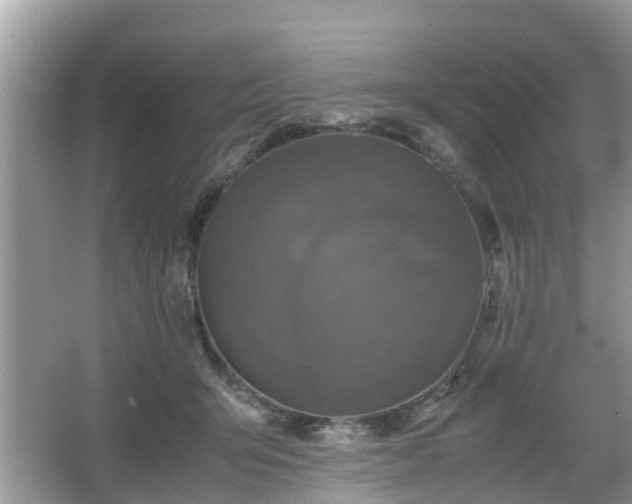 X0000066000415200603101536