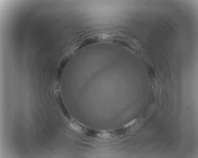 X0000066000419200603101536