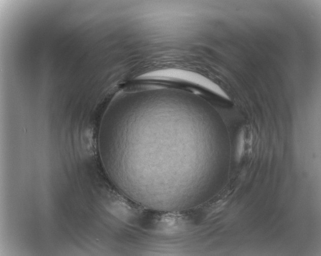 X0000066000420200603101536