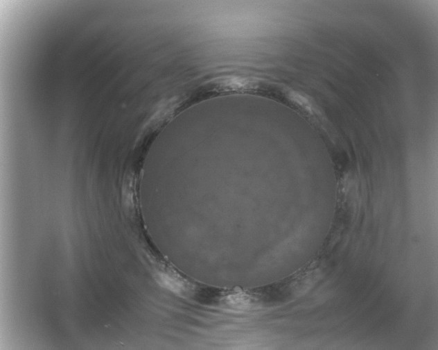 X0000066000423200603101535