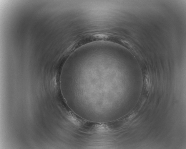 X0000066000424200603101535