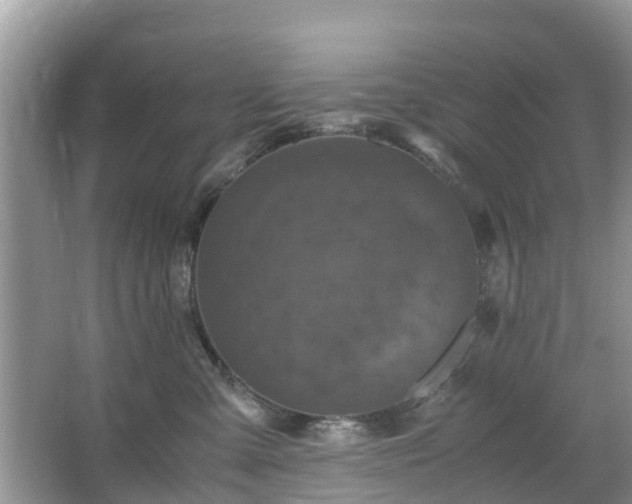 X0000066000427200603101535