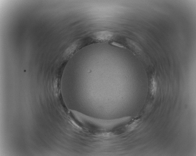 X0000066000428200603101535