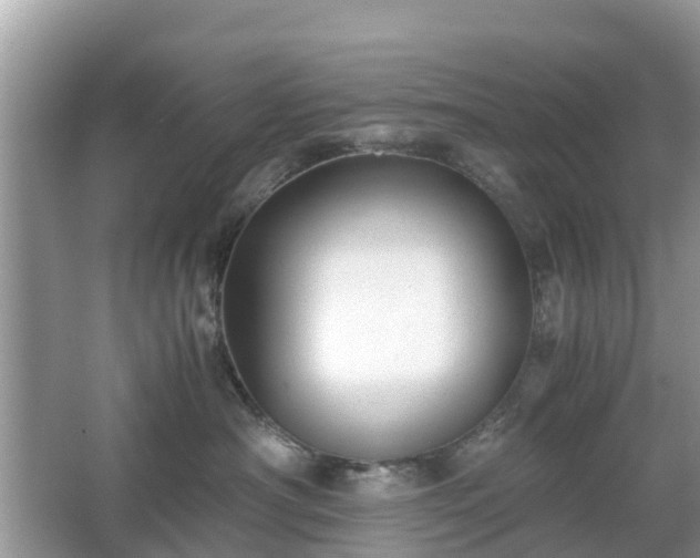 X0000066000430200603101535