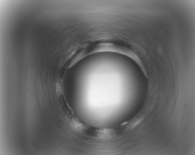 X0000066000432200603101535