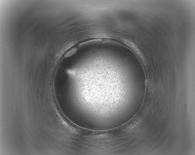 X0000066000433200603101535