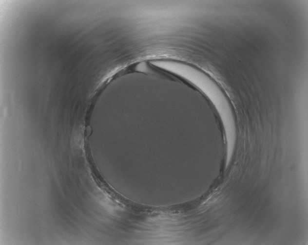 X0000066000434200603101535