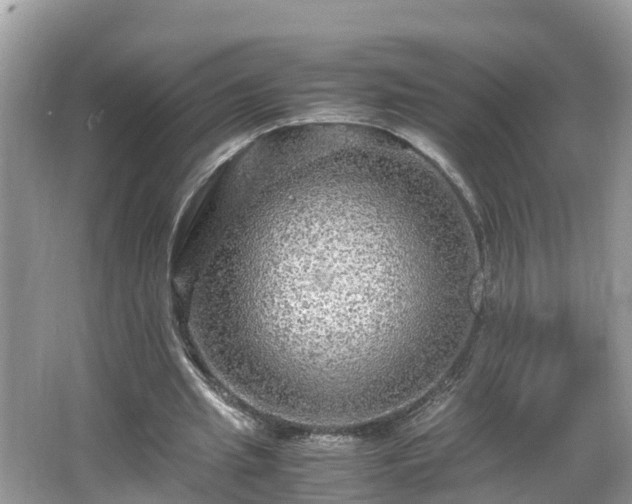 X0000066000437200603101535