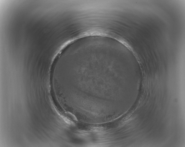 X0000066000438200603101535