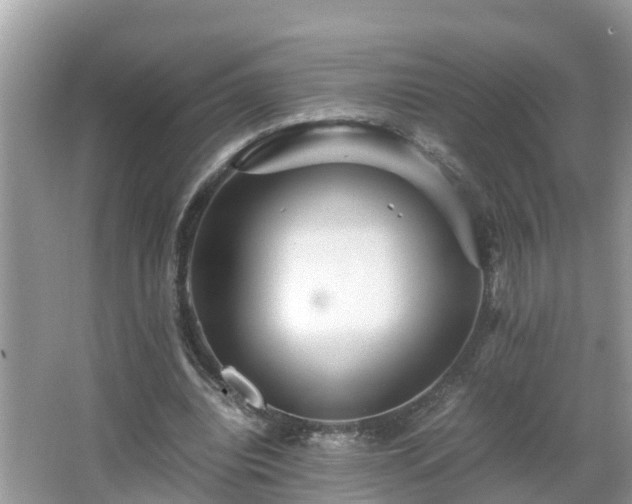 X0000066000440200603101535