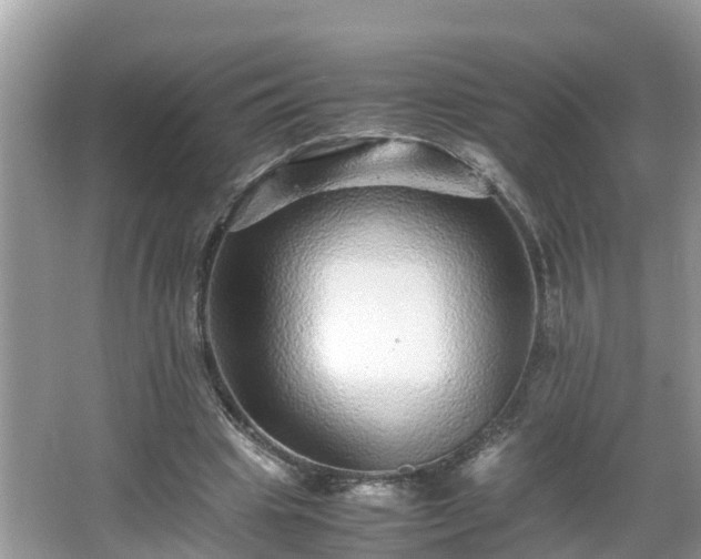 X0000066000441200603101535