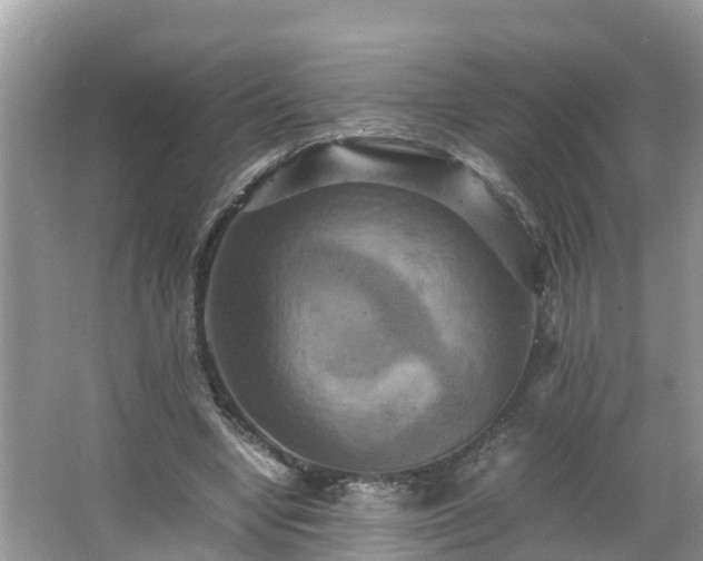 X0000066000442200603101535