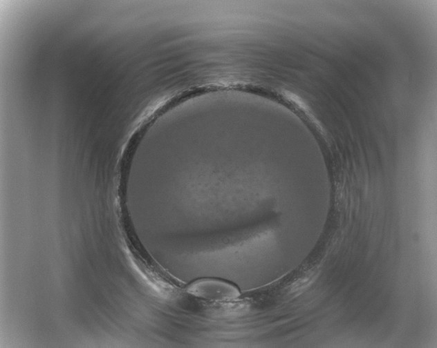 X0000066000443200603101535