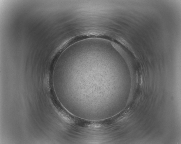 X0000066000444200603101535