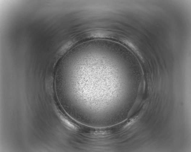 X0000066000445200603101535