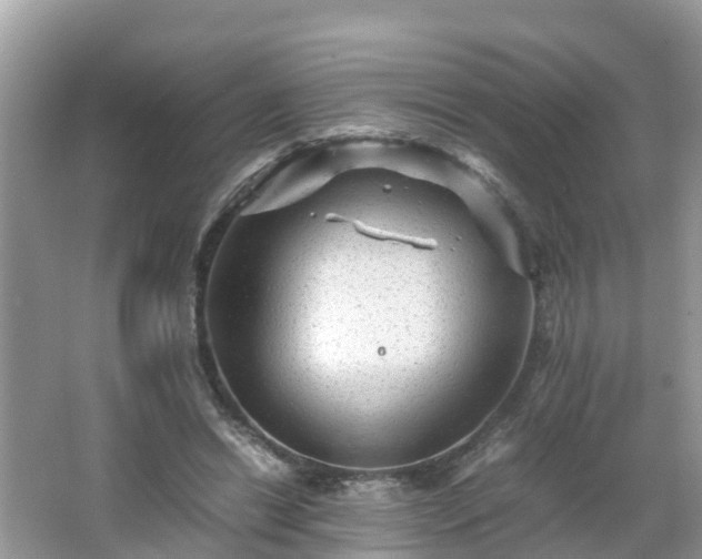 X0000066000446200603101535