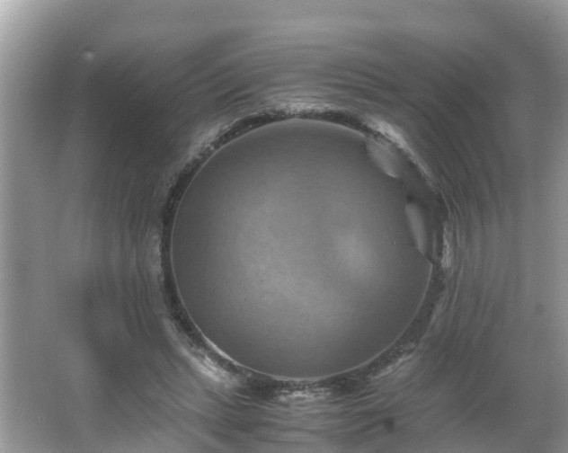 X0000066000447200603101535