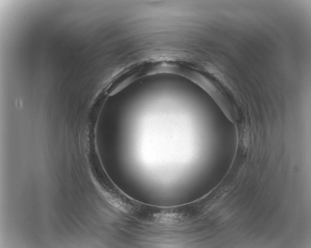 X0000066000448200603101535