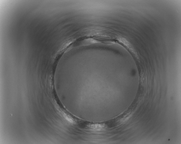 X0000066000449200603101535