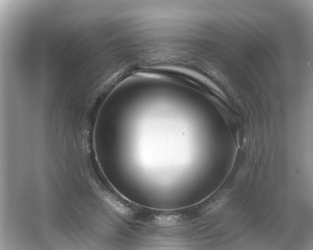 X0000066000450200603101535