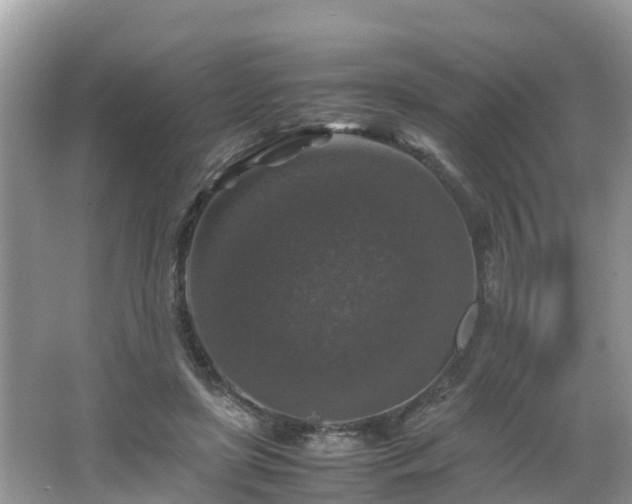 X0000066000451200603101535