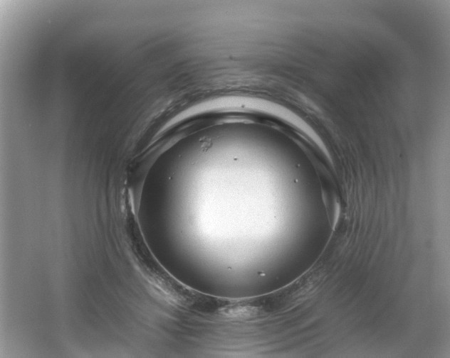 X0000066000452200603101535