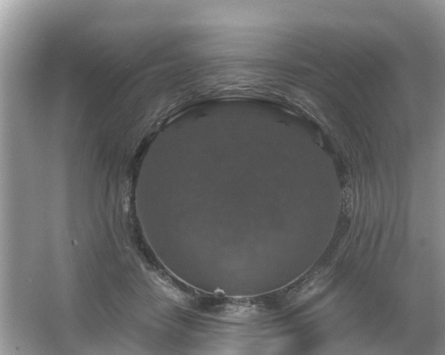 X0000066000458200603101535