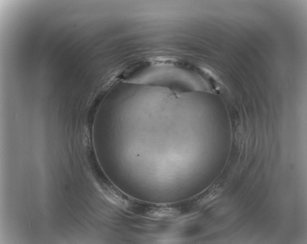 X0000066000459200603101535