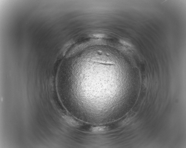 X0000066000461200603101535