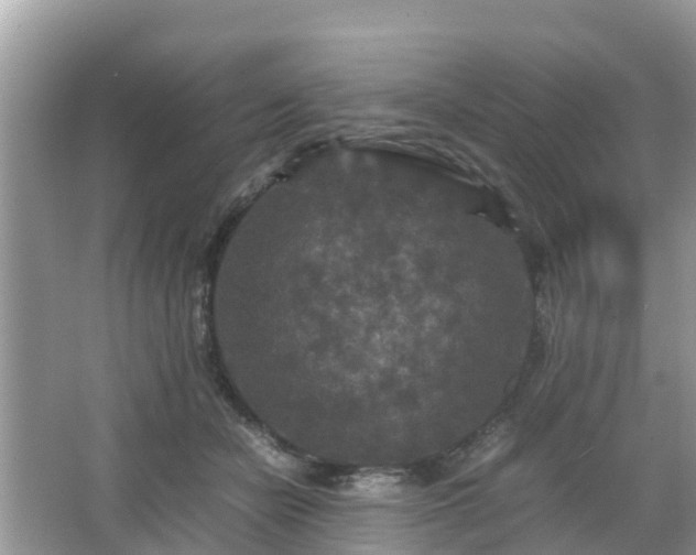 X0000066000462200603101535