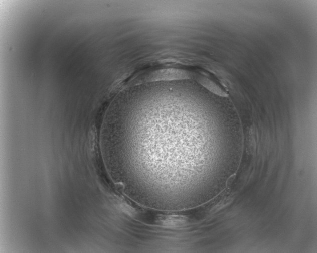 X0000066000463200603101535