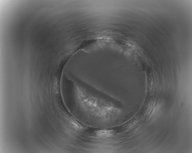 X0000066000465200603101535