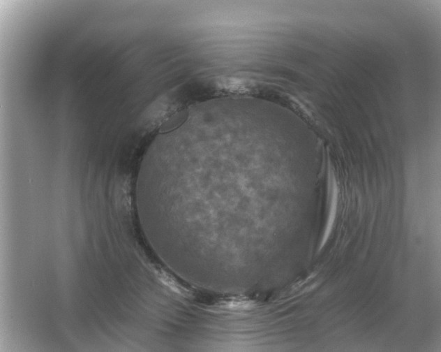 X0000066000466200603101535