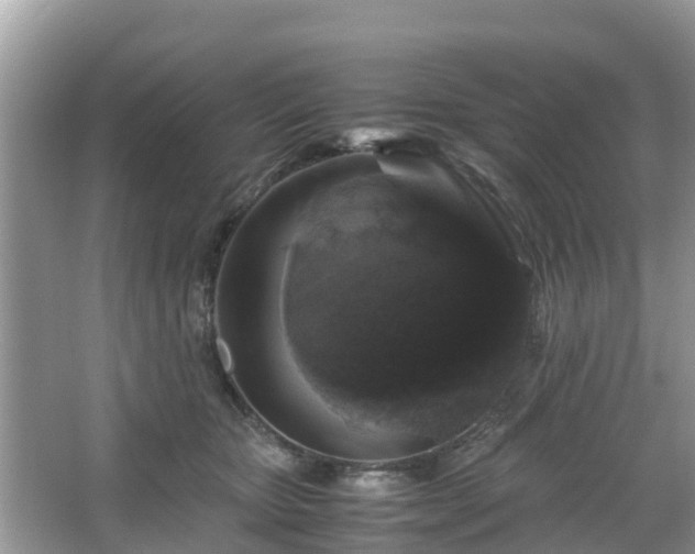 X0000066000467200603101535