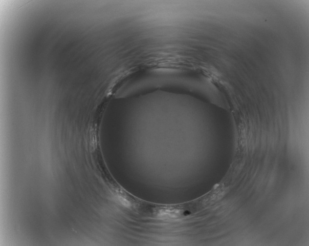 X0000066000471200603101535