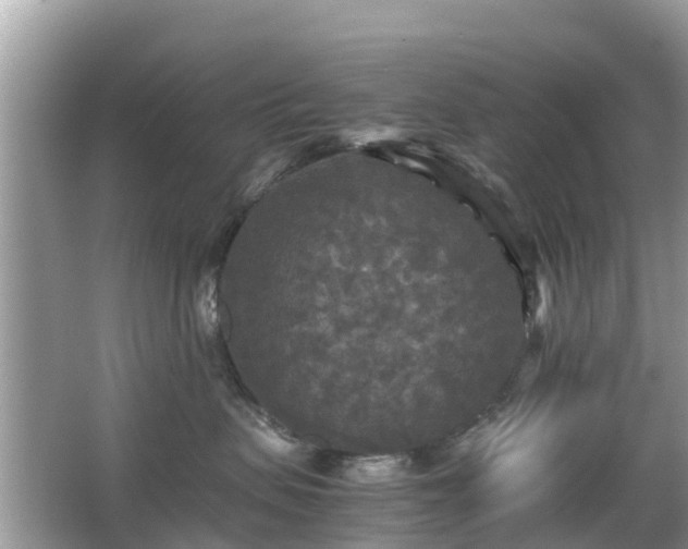 X0000066000479200603101535