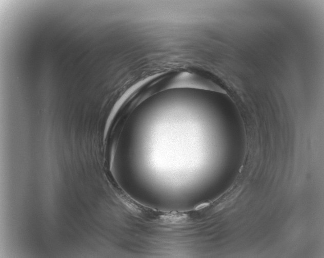 X0000066000480200603101535