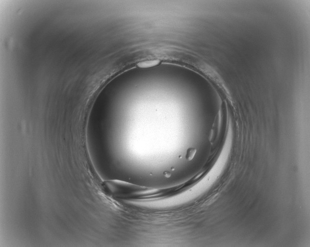 X0000066000481200603101535