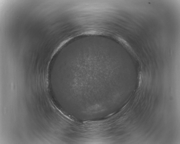 X0000066000484200603101534