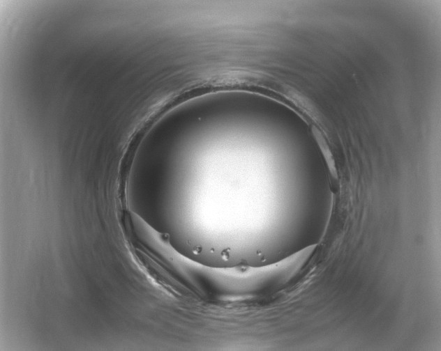 X0000066000485200603101534