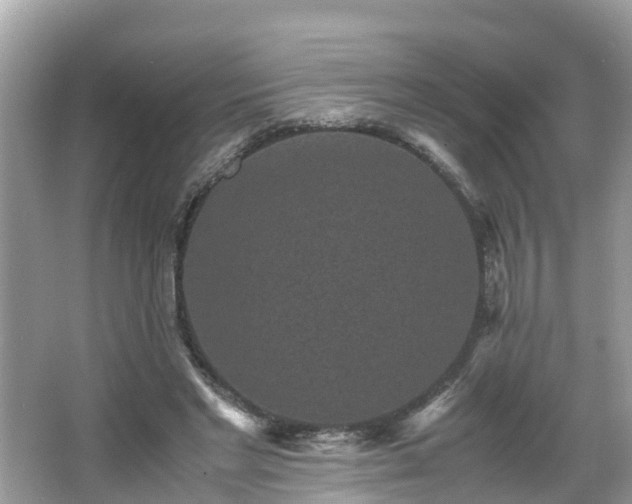 X0000066000493200603101534