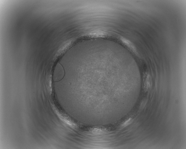 X0000066000494200603101534