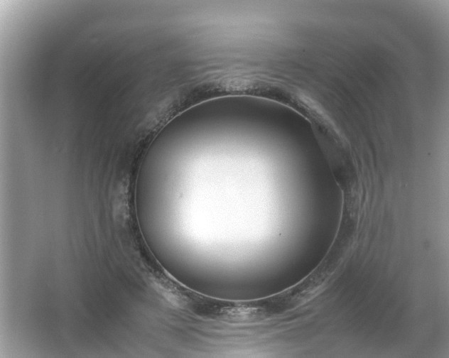 X0000066000497200603101534