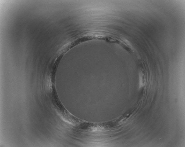 X0000066000500200603101534